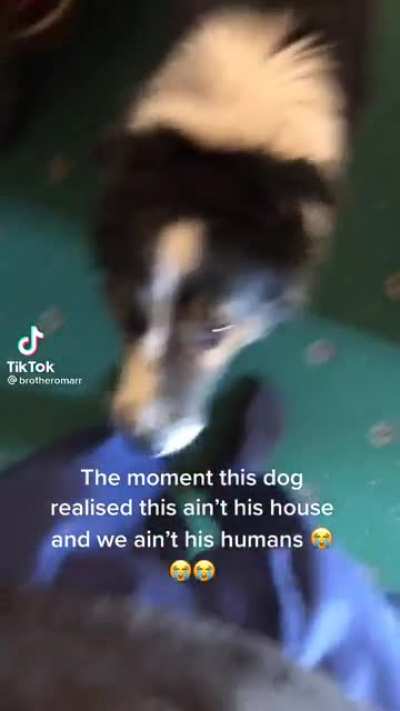 Oh shi- my bad ??