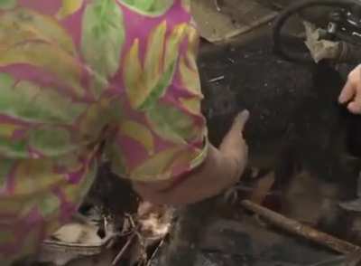 Grandma’s dog got lost in the tornado