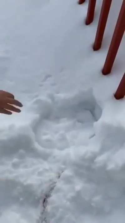 It'll be fine