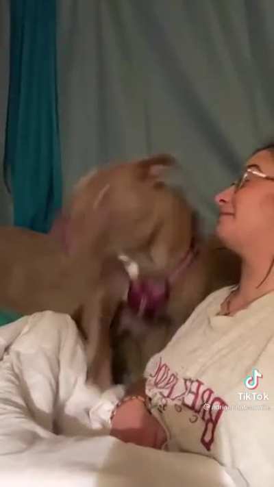 "I DARE You to say that again!?!?"
