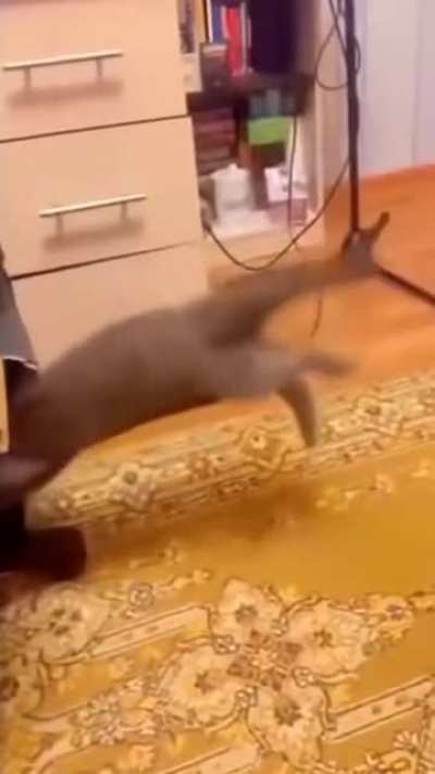 The face of regret