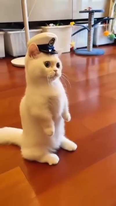 Munchkin the sailor.