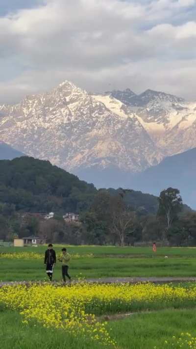 ? Kangra Valley in the Western Himalayas, India
