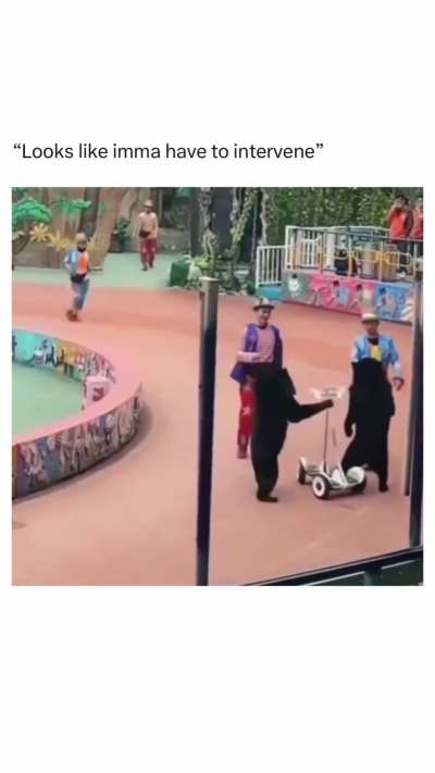 Bear is like "not on my watch !"