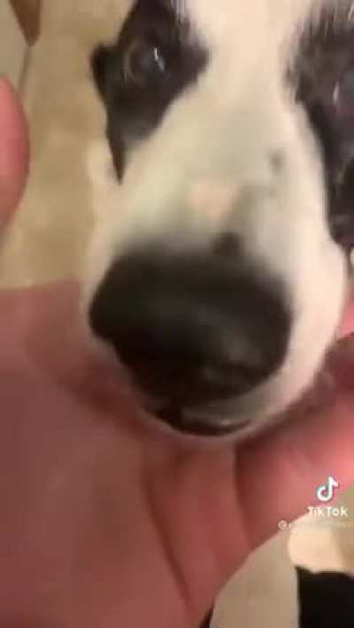 Lemme touch it-