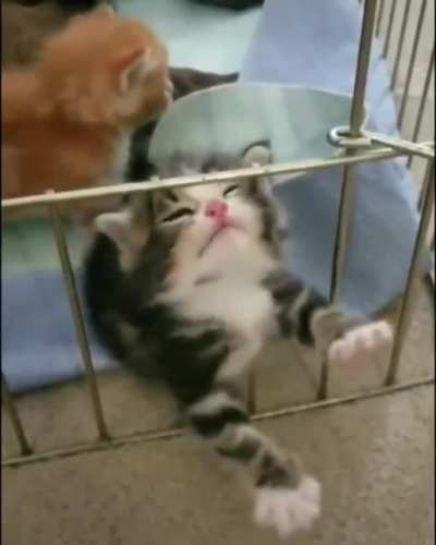 To escape