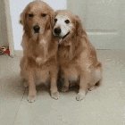 When your partner is shy to take a picture together