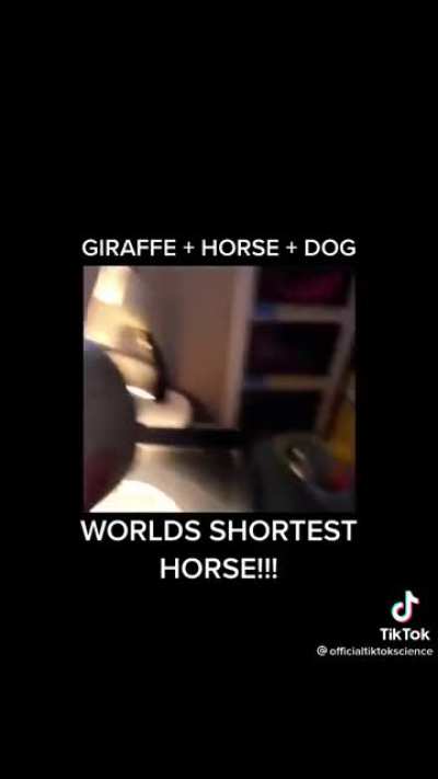 heavily doubting this random person just goes god mode and crosses random species not even related to each other theres alot of fake shit on yt and im pretty sure its the same with tiktok hes even making AHHHHHH THE GOVERMENT IS AFTER ME BECAUSE I AM BIG