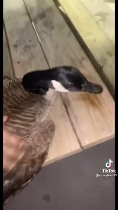 New friend