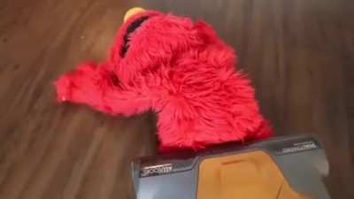 Weekend at Elmo's