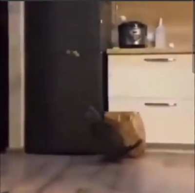 Missile incoming!