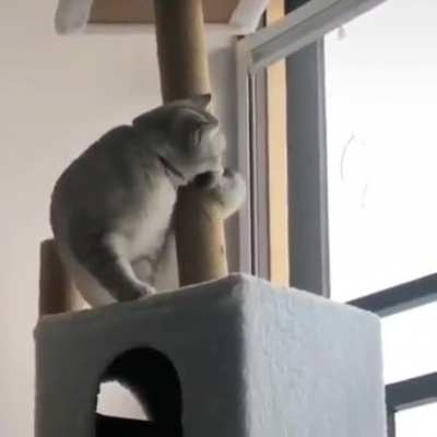 Round and round run