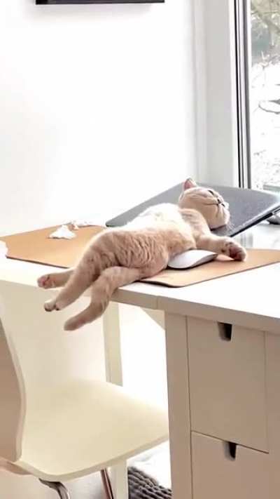 Living best life