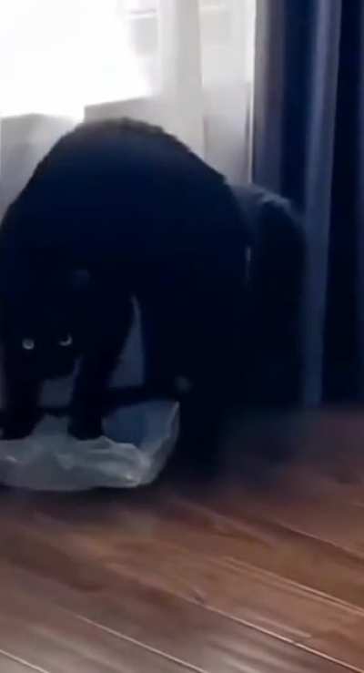 Fear Me!