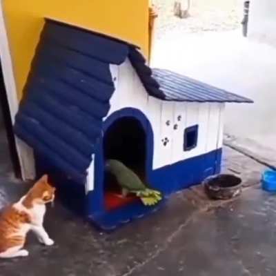 Maybe Maybe Maybe