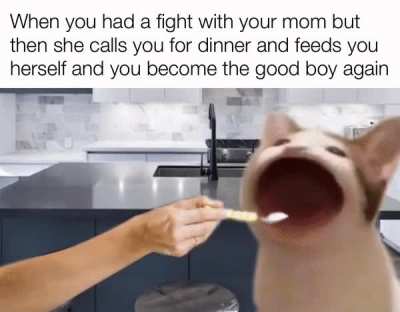 I am sorry mom
