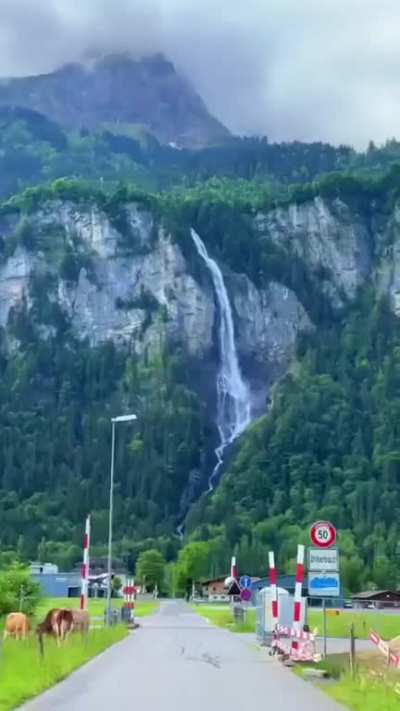 ? The Swiss Alps