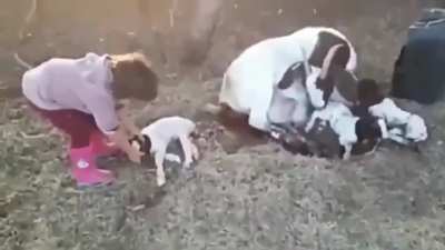 Maybe maybe maybe
