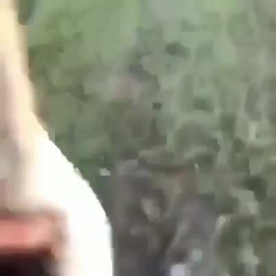 "Thats what you get!"