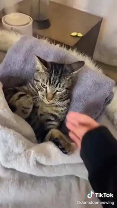 Maybe maybe maybe