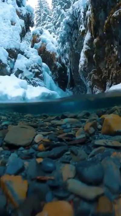 ? Snow flakes fall softly into crystal clear water ❄️