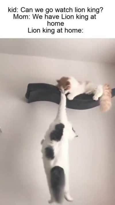 Brother, help me