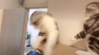 Gtfo, this is sparta