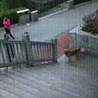 "Look at me, I'm a human."