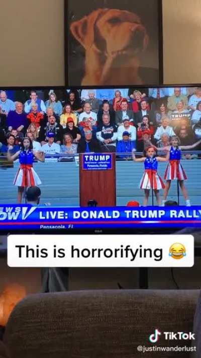 This isn’t even politics, it’s genuine cringe