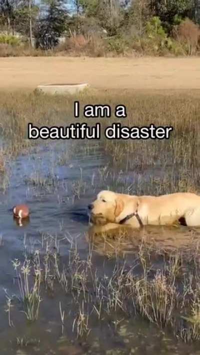 life lessons to be learnt from this cutie ?