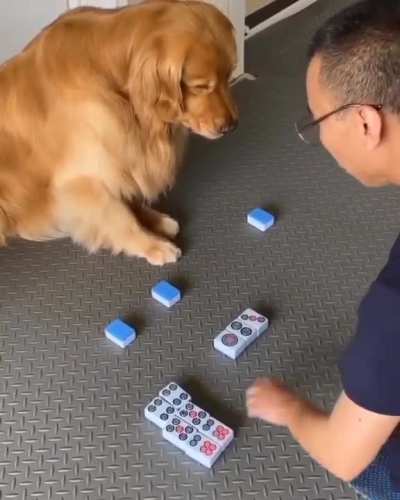 Maybe maybe maybe