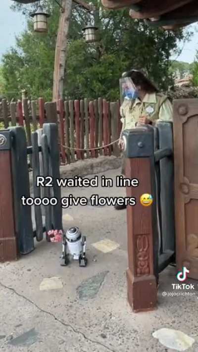 So wholesome ?