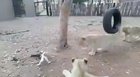 This is mine!