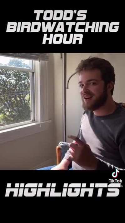 Todd’s Birdwatching Hour