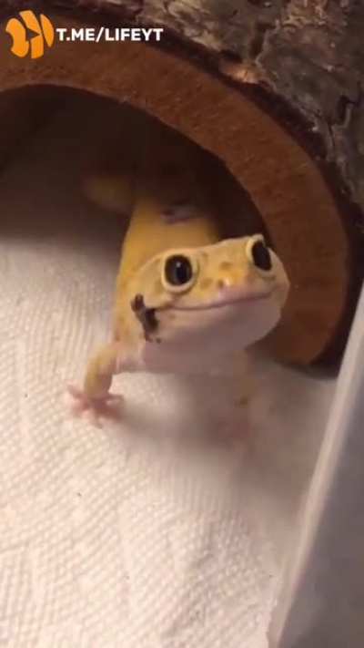 When mom brought yummy?