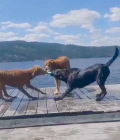 The legend says that the three are still battling over the frisbee to this day