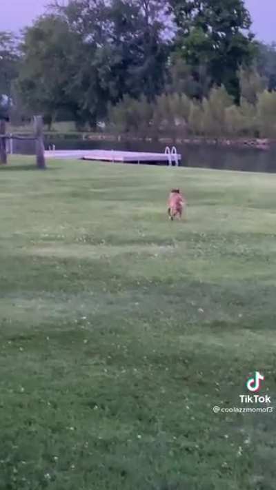 Deserves all the toys