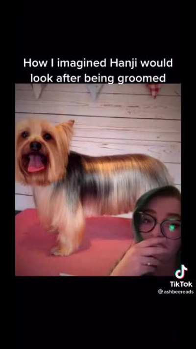Haircut