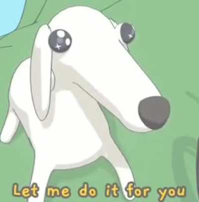 Guide Dog