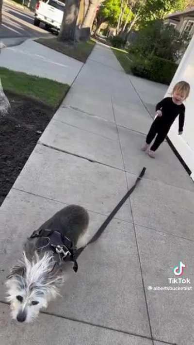 Walking the dog