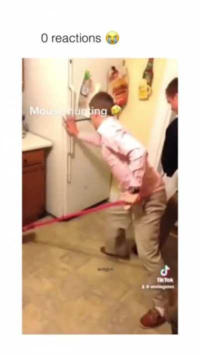 Mouse Hunting