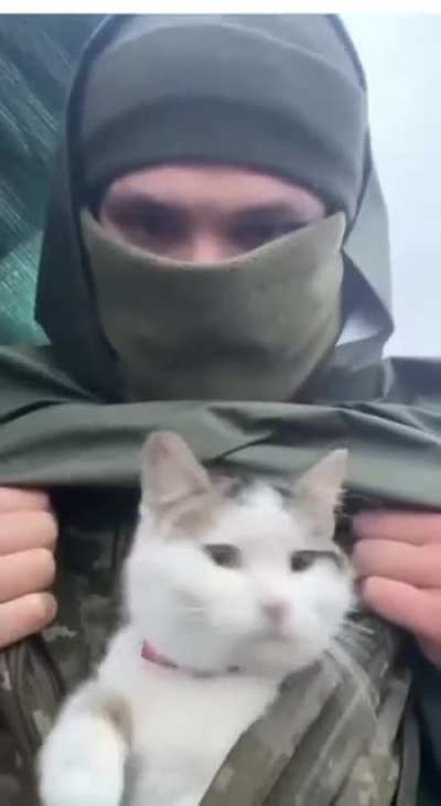 Hiding the real weapons ?