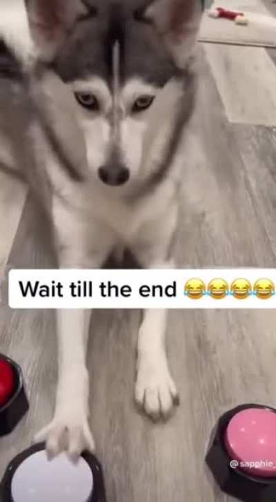 Bitch please