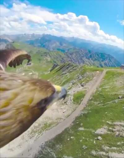 ? The beauty of nature from a bird's eye view