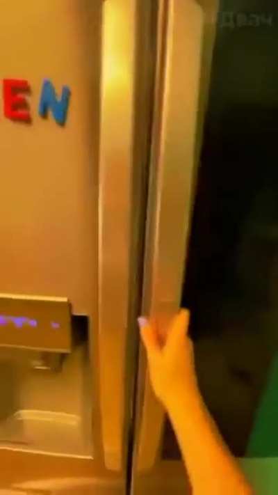 What's in the fridge?