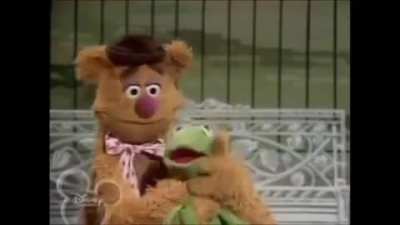 Fozzie decides to demonstrate the study of "Phrenology" for his act, and he requires Kermit's head (from The Muppet Show, 1977)