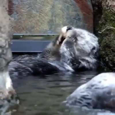 ? Just rinsing off...