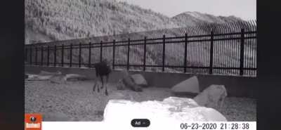? Utah's first wildlife crossing