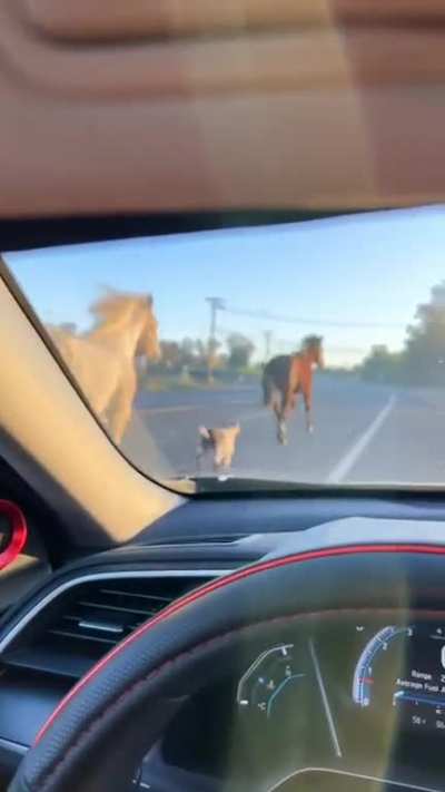 Make way, please