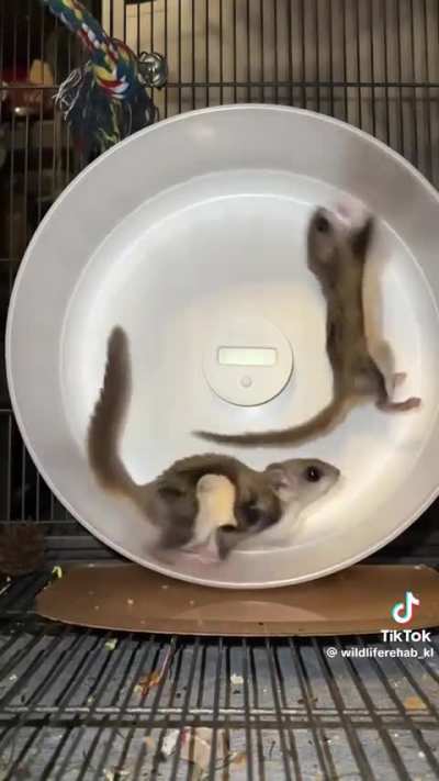 Maybe Maybe Maybe